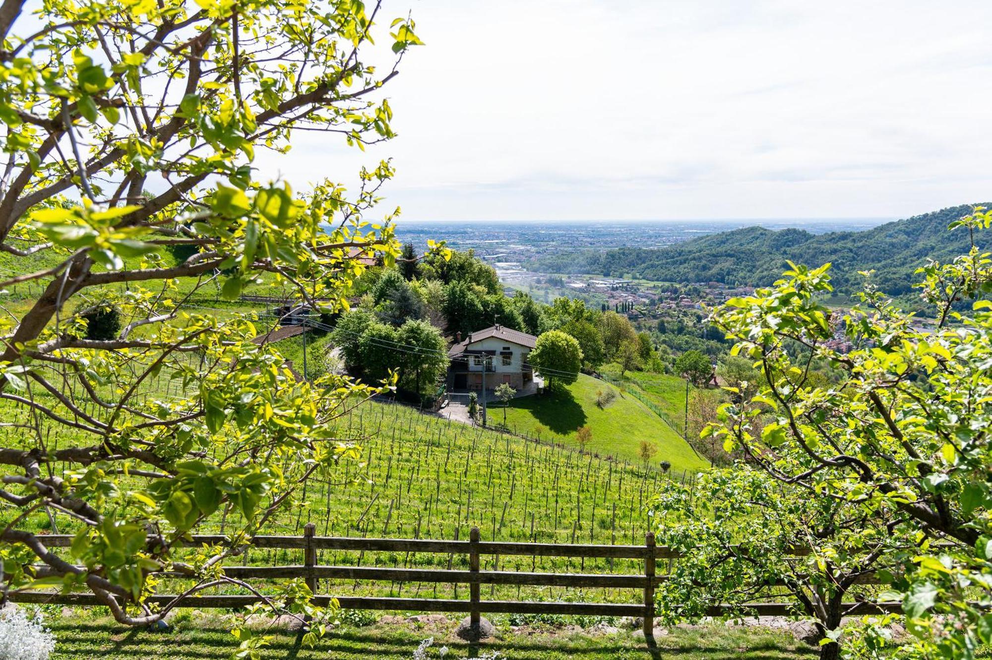 Polisena L'altro Agriturismo Veg Bauernhof Pontida