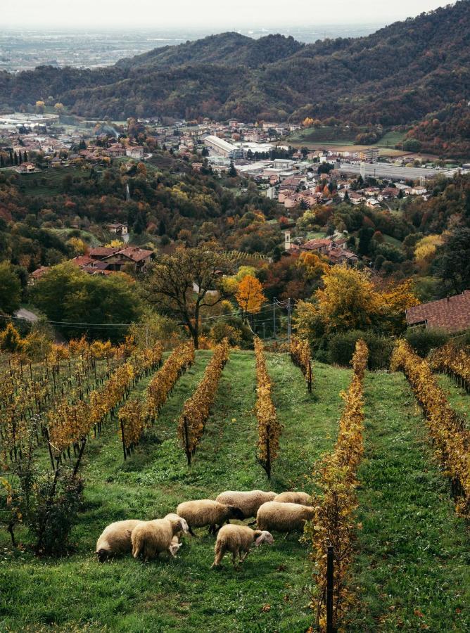 Alojamento de Turismo Rural Polisena L'altro Veg